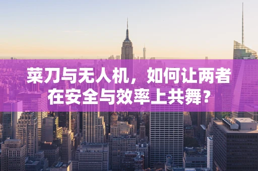 菜刀与无人机，如何让两者在安全与效率上共舞？