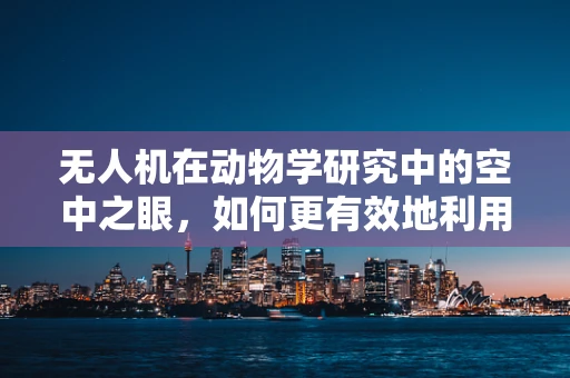 无人机在动物学研究中的空中之眼，如何更有效地利用无人机进行野生动物监测？