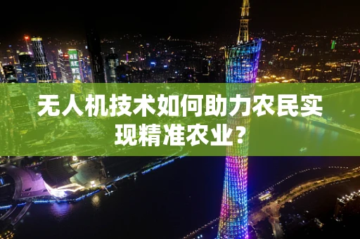 无人机技术如何助力农民实现精准农业？