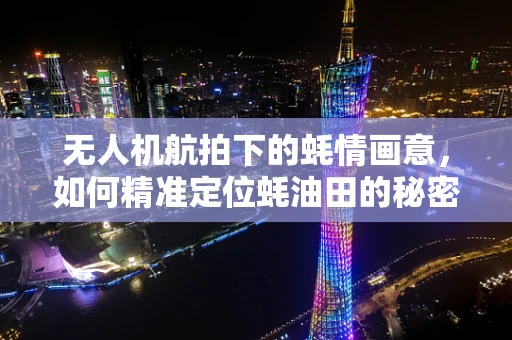 无人机航拍下的蚝情画意，如何精准定位蚝油田的秘密？