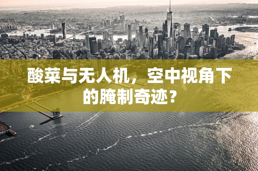 酸菜与无人机，空中视角下的腌制奇迹？