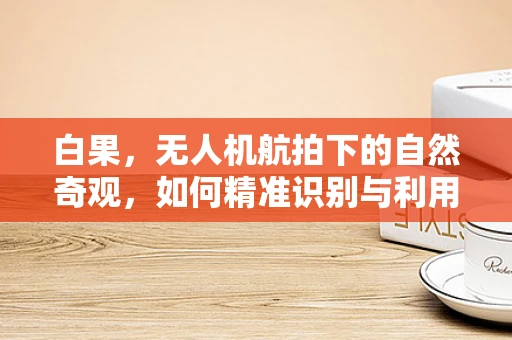白果，无人机航拍下的自然奇观，如何精准识别与利用？