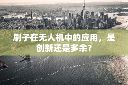 刷子在无人机中的应用，是创新还是多余？