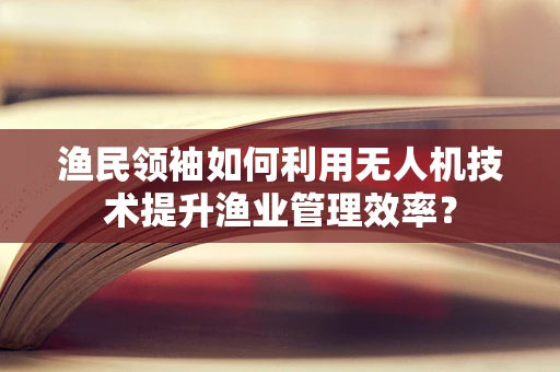 渔民领袖如何利用无人机技术提升渔业管理效率？