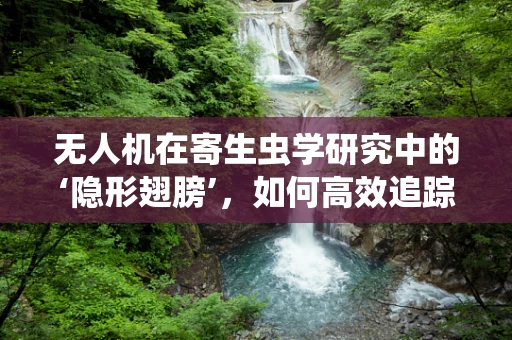无人机在寄生虫学研究中的‘隐形翅膀’，如何高效追踪与监测？