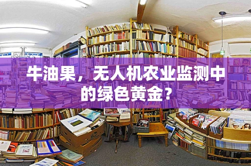 牛油果，无人机农业监测中的绿色黄金？