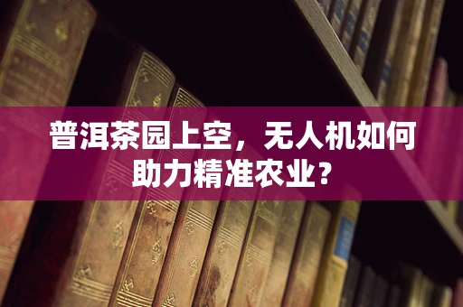 普洱茶园上空，无人机如何助力精准农业？