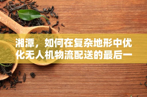湘潭，如何在复杂地形中优化无人机物流配送的最后一公里？