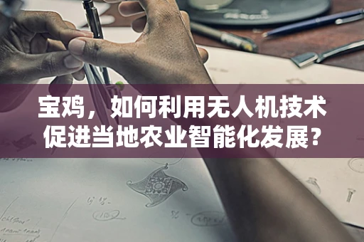 宝鸡，如何利用无人机技术促进当地农业智能化发展？