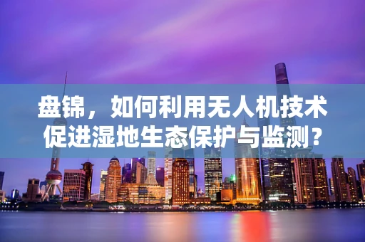 盘锦，如何利用无人机技术促进湿地生态保护与监测？
