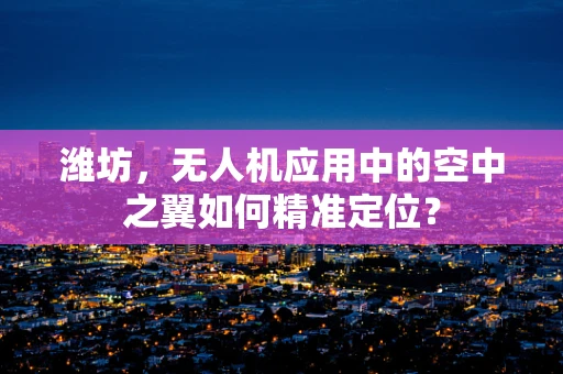 潍坊，无人机应用中的空中之翼如何精准定位？