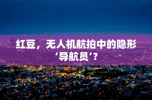 红豆，无人机航拍中的隐形‘导航员’？