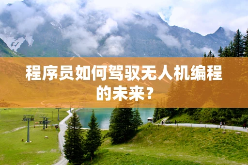 程序员如何驾驭无人机编程的未来？