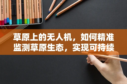 草原上的无人机，如何精准监测草原生态，实现可持续发展？