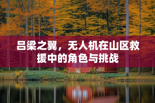 吕梁之翼，无人机在山区救援中的角色与挑战