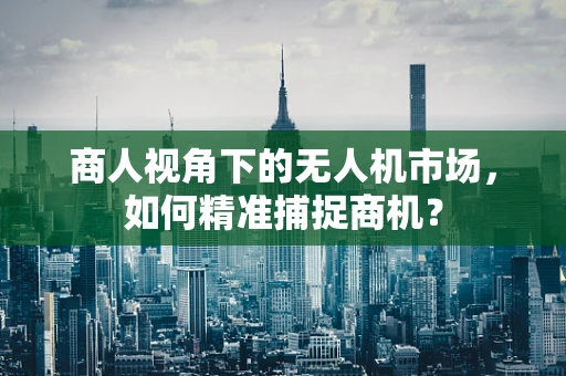商人视角下的无人机市场，如何精准捕捉商机？