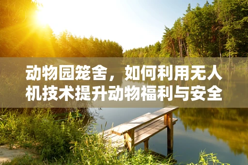 动物园笼舍，如何利用无人机技术提升动物福利与安全管理？