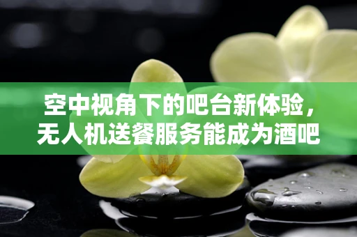 空中视角下的吧台新体验，无人机送餐服务能成为酒吧业新宠吗？