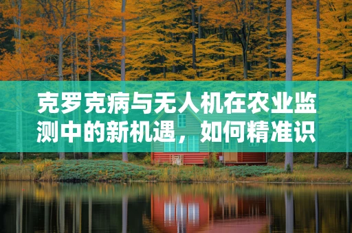 克罗克病与无人机在农业监测中的新机遇，如何精准识别并应对？