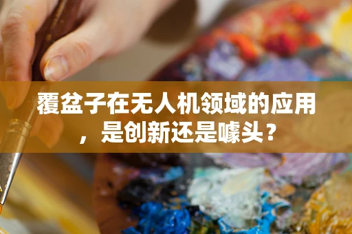 覆盆子在无人机领域的应用，是创新还是噱头？