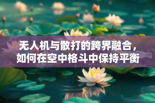 无人机与散打的跨界融合，如何在空中格斗中保持平衡与力量？