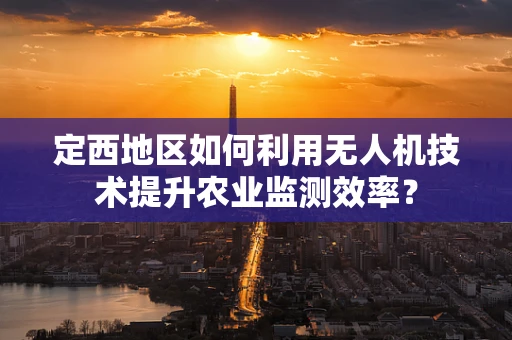 定西地区如何利用无人机技术提升农业监测效率？