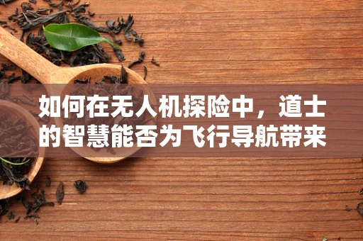 如何在无人机探险中，道士的智慧能否为飞行导航带来新启示？