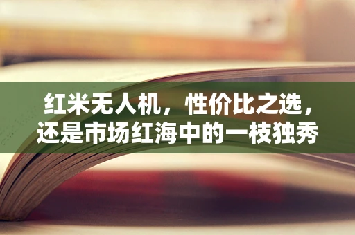 红米无人机，性价比之选，还是市场红海中的一枝独秀？