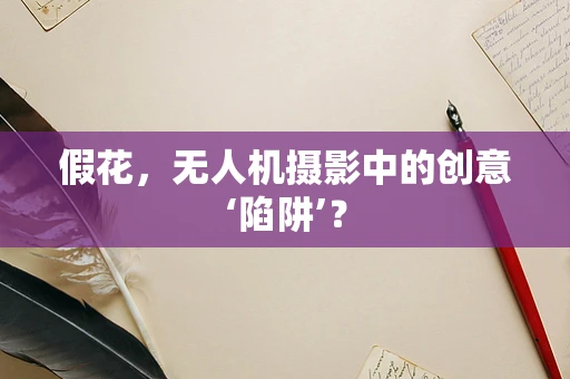 假花，无人机摄影中的创意‘陷阱’？