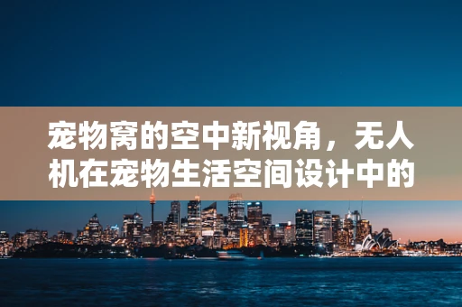 宠物窝的空中新视角，无人机在宠物生活空间设计中的应用？