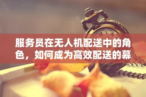 服务员在无人机配送中的角色，如何成为高效配送的幕后英雄？