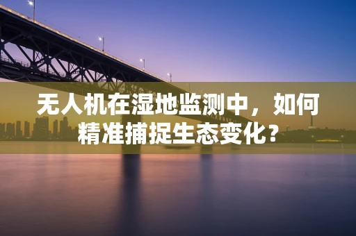 无人机在湿地监测中，如何精准捕捉生态变化？