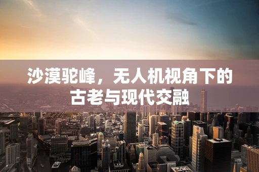 沙漠驼峰，无人机视角下的古老与现代交融