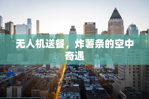 无人机送餐，炸薯条的空中奇遇