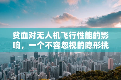 贫血对无人机飞行性能的影响，一个不容忽视的隐形挑战？