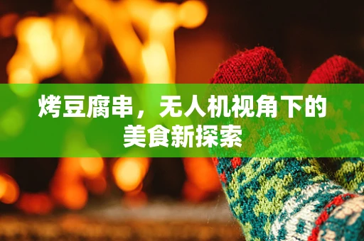 烤豆腐串，无人机视角下的美食新探索