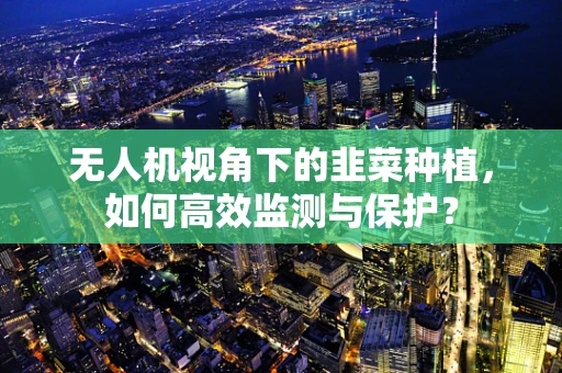无人机视角下的韭菜种植，如何高效监测与保护？