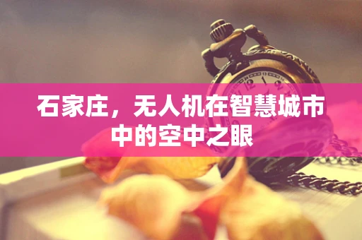 石家庄，无人机在智慧城市中的空中之眼