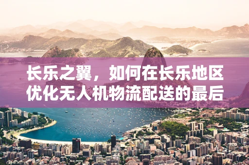 长乐之翼，如何在长乐地区优化无人机物流配送的最后一公里？