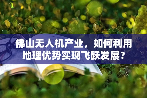 佛山无人机产业，如何利用地理优势实现飞跃发展？