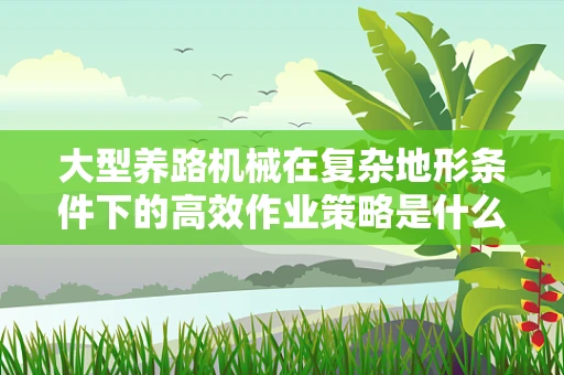 大型养路机械在复杂地形条件下的高效作业策略是什么？