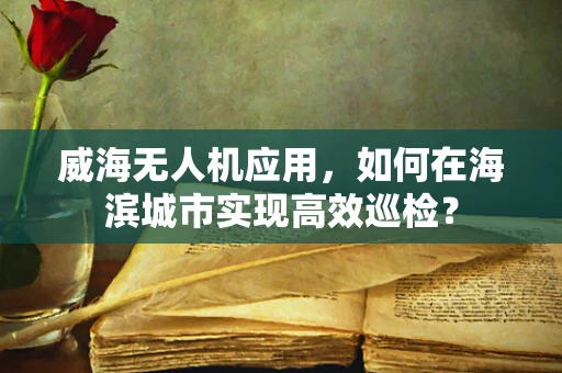 威海无人机应用，如何在海滨城市实现高效巡检？