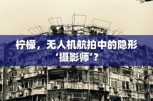 柠檬，无人机航拍中的隐形‘摄影师’？