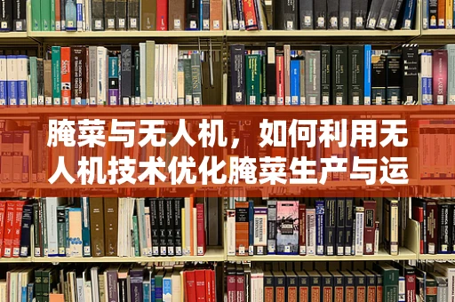 腌菜与无人机，如何利用无人机技术优化腌菜生产与运输？