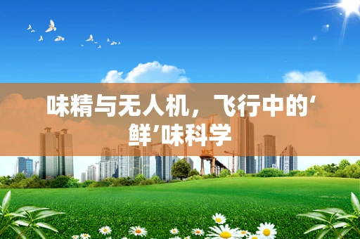 味精与无人机，飞行中的‘鲜’味科学