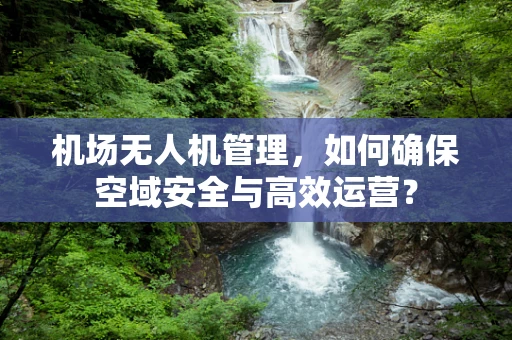 机场无人机管理，如何确保空域安全与高效运营？