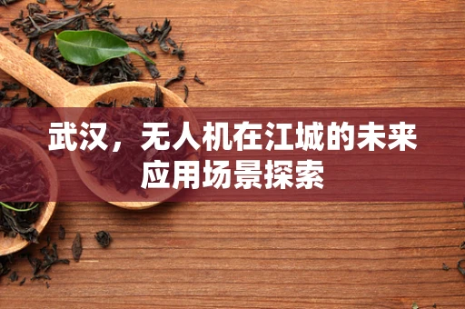 武汉，无人机在江城的未来应用场景探索