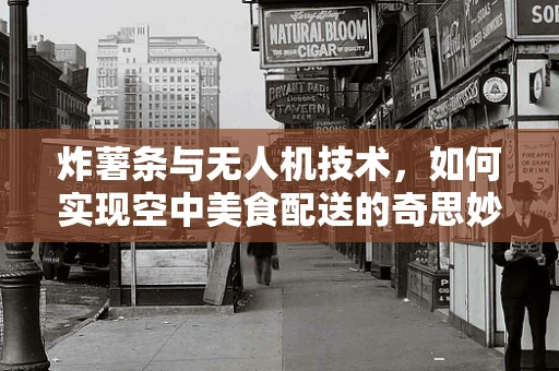炸薯条与无人机技术，如何实现空中美食配送的奇思妙想？