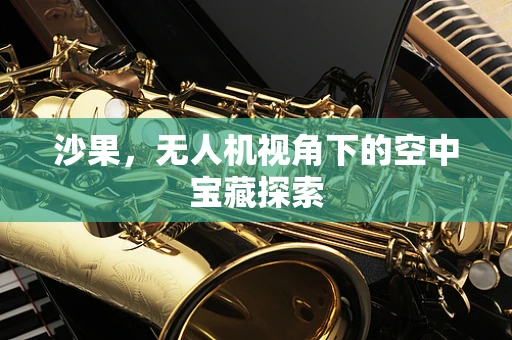 沙果，无人机视角下的空中宝藏探索