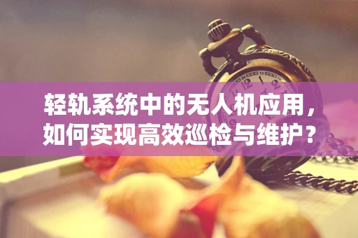 轻轨系统中的无人机应用，如何实现高效巡检与维护？